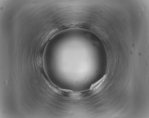 X0000073730192200608031339