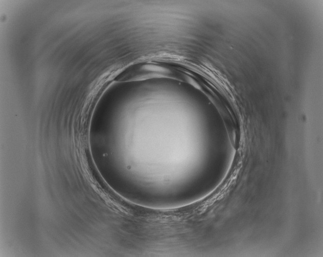 X0000073730193200608031338