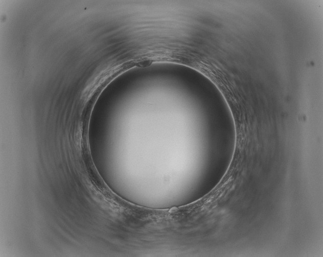 X0000073730194200608031338