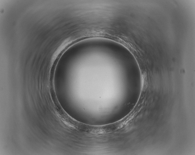 X0000073730195200608031338