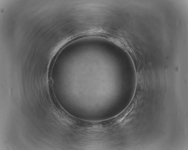 X0000073730196200608031338