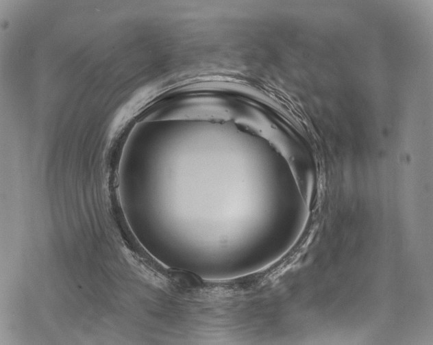 X0000073730197200608031338