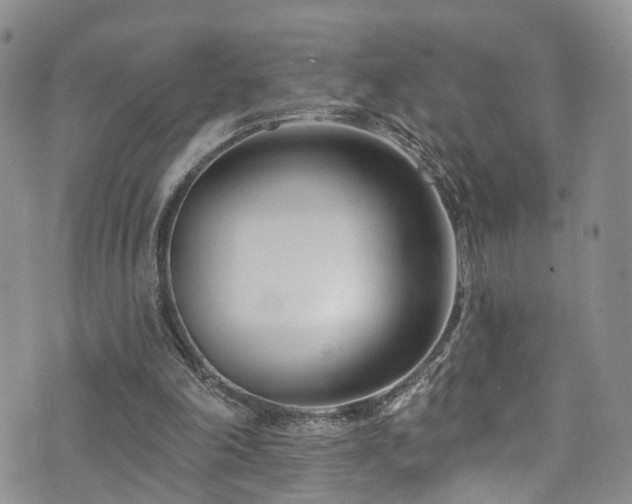 X0000073730198200608031338