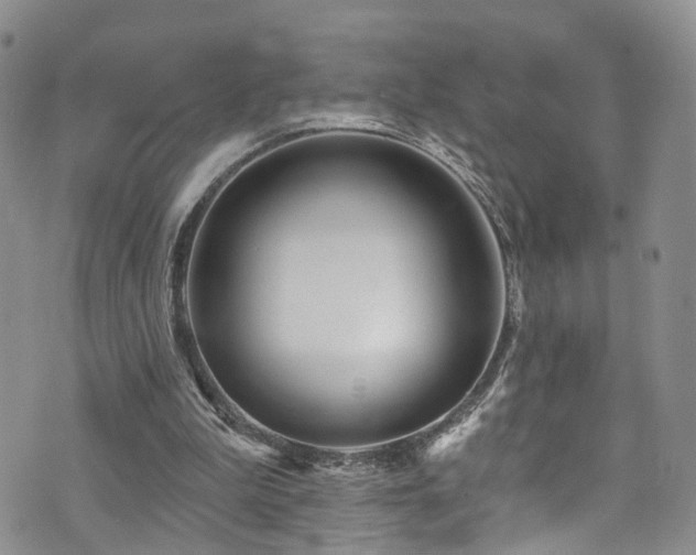 X0000073730199200608031338