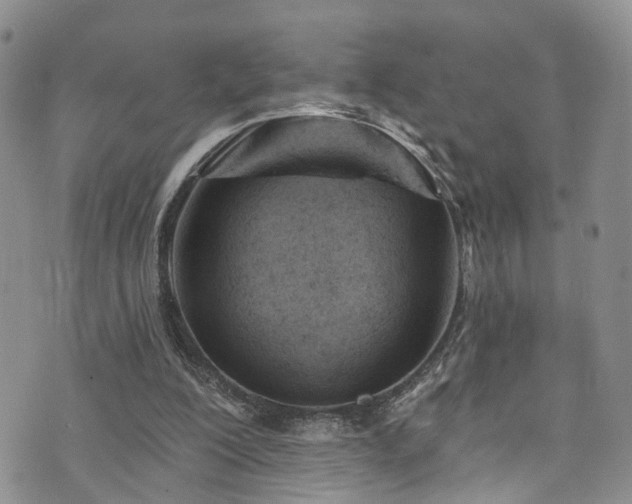 X0000073730200200608031338