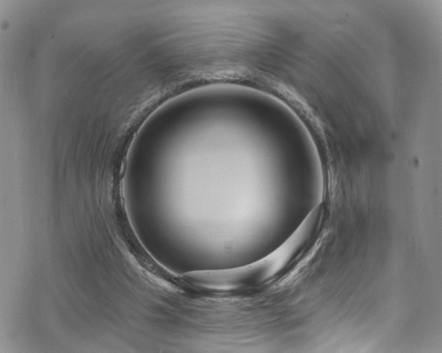 X0000073730201200608031338