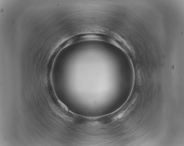 X0000073730203200608031338