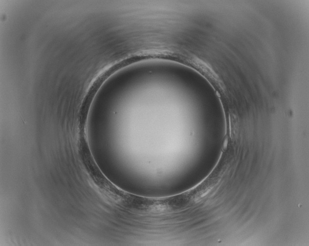 X0000073730204200608031338