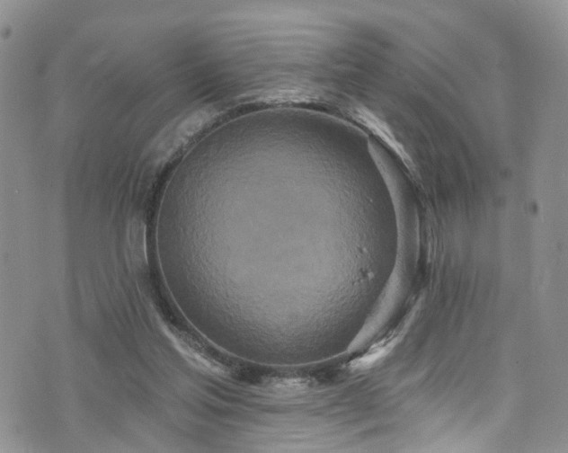 X0000073730205200608031338