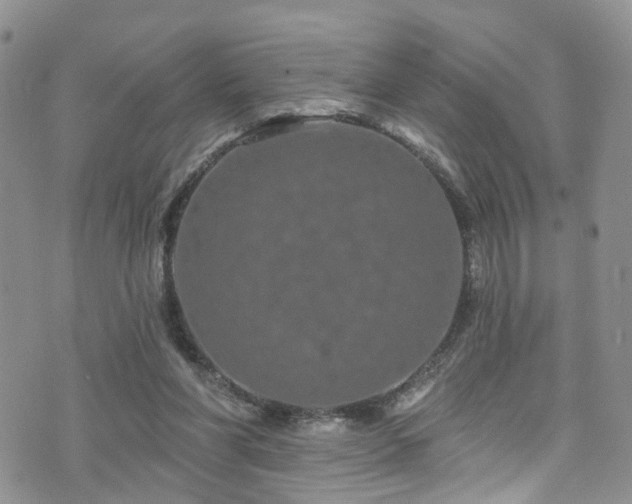 X0000073730206200608031338