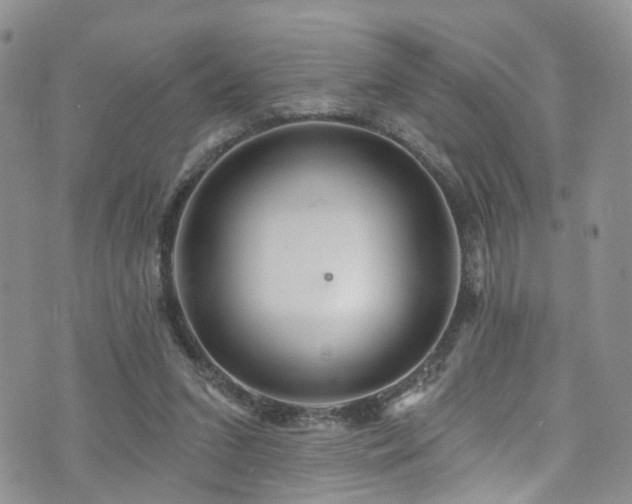 X0000073730207200608031338