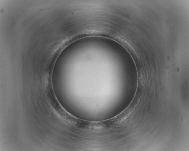 X0000073730208200608031338