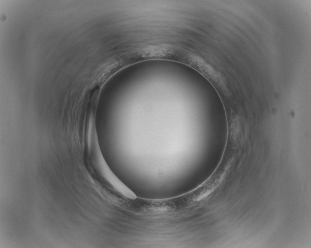 X0000073730209200608031338