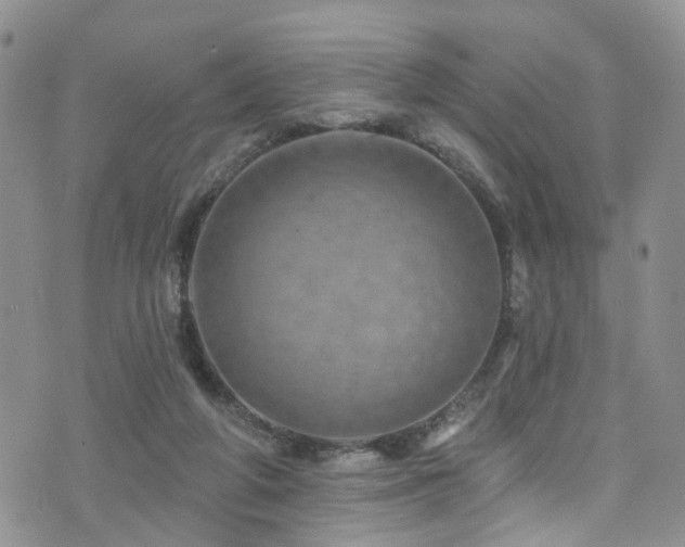 X0000073730210200608031338