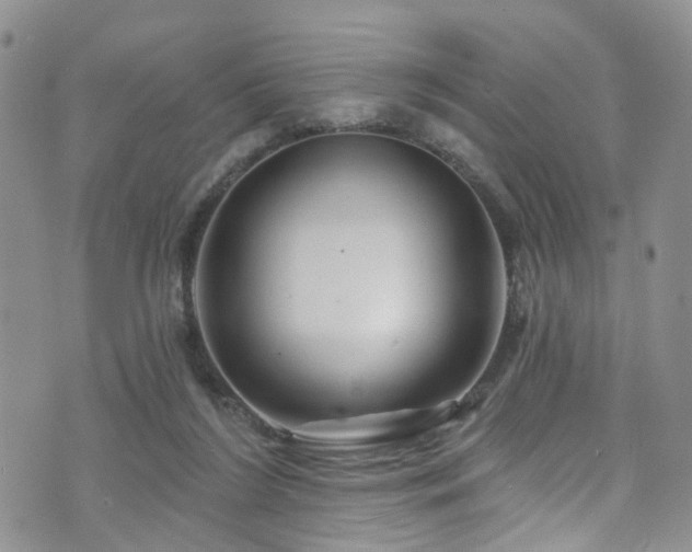 X0000073730212200608031338