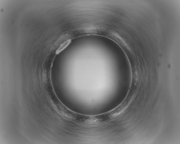 X0000073730213200608031338