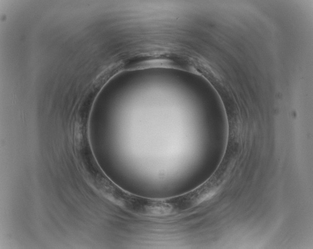 X0000073730215200608031338