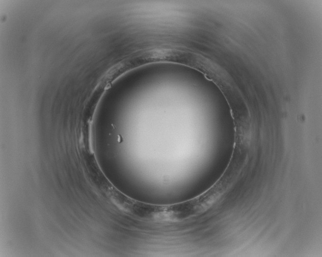 X0000073730216200608031338