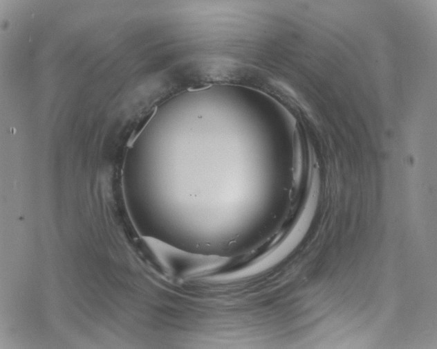 X0000073730217200608031338