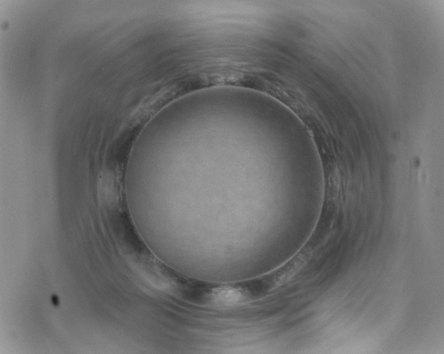 X0000073730218200608031338