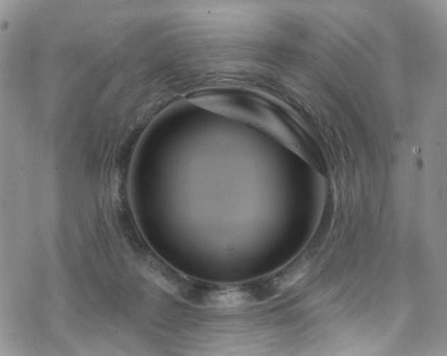 X0000073730219200608031338