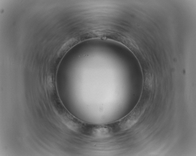 X0000073730220200608031338