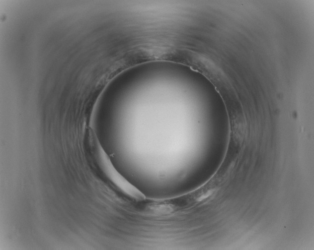 X0000073730221200608031338