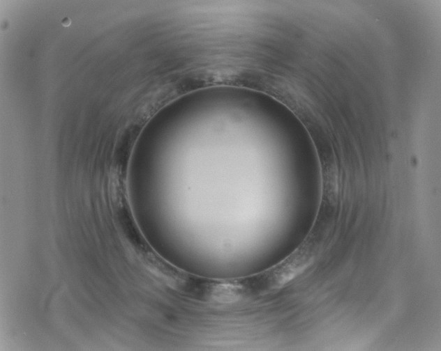 X0000073730222200608031338