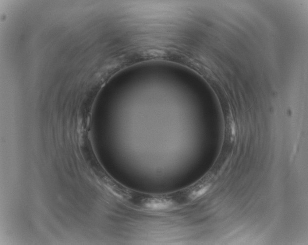 X0000073730223200608031337