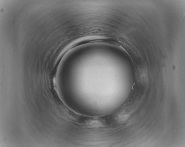 X0000073730224200608031337