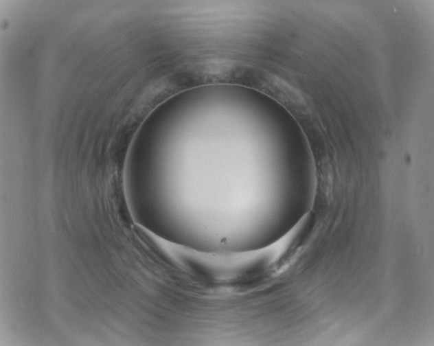 X0000073730225200608031337