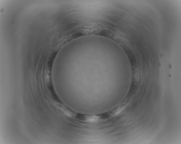 X0000073730226200608031337