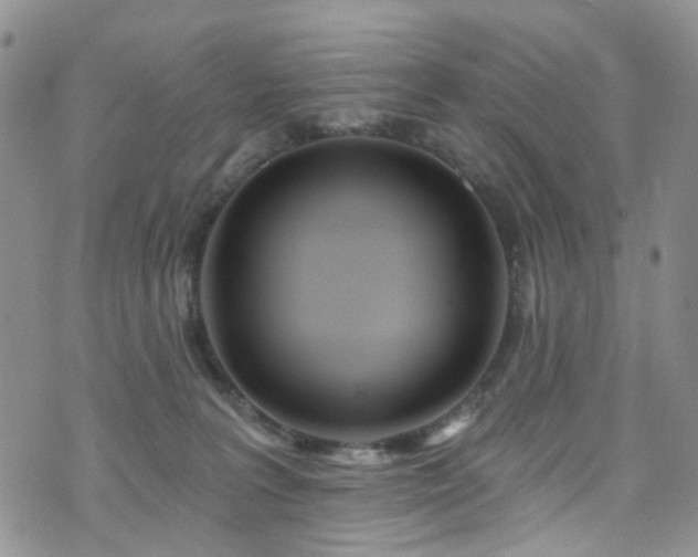 X0000073730227200608031337