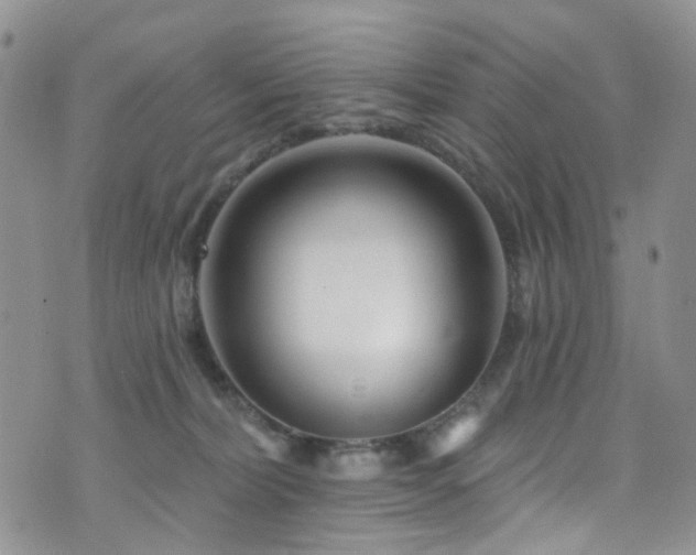 X0000073730228200608031337