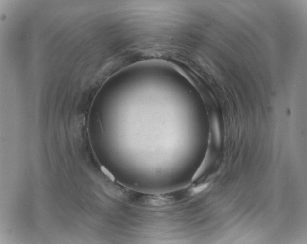 X0000073730229200608031337