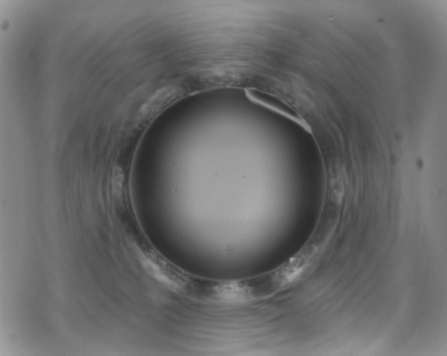 X0000073730231200608031337