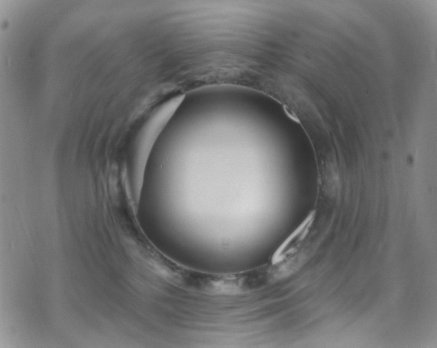 X0000073730232200608031337