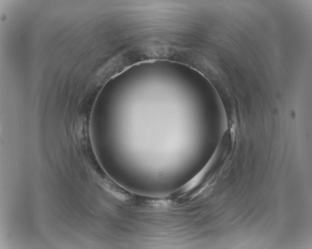 X0000073730233200608031337