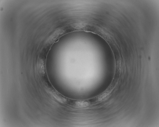 X0000073730234200608031337