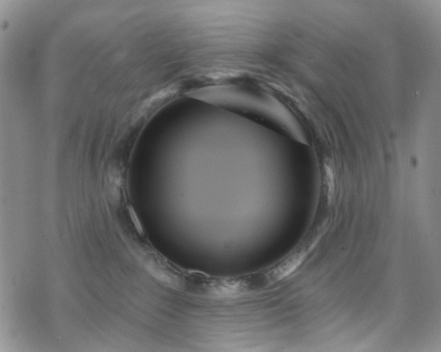 X0000073730235200608031337