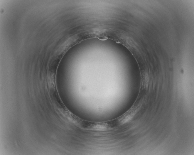 X0000073730236200608031337