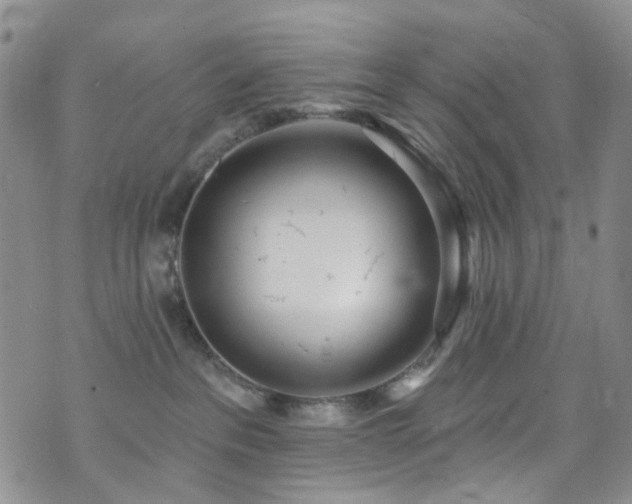 X0000073730237200608031337