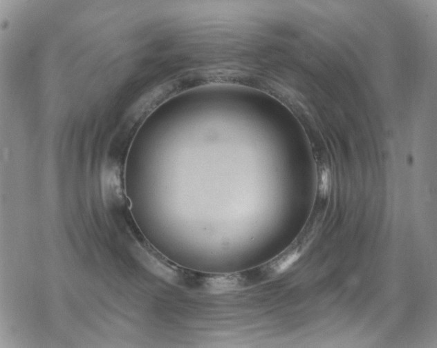 X0000073730238200608031337