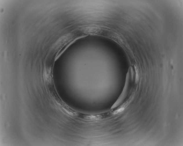 X0000073730239200608031337