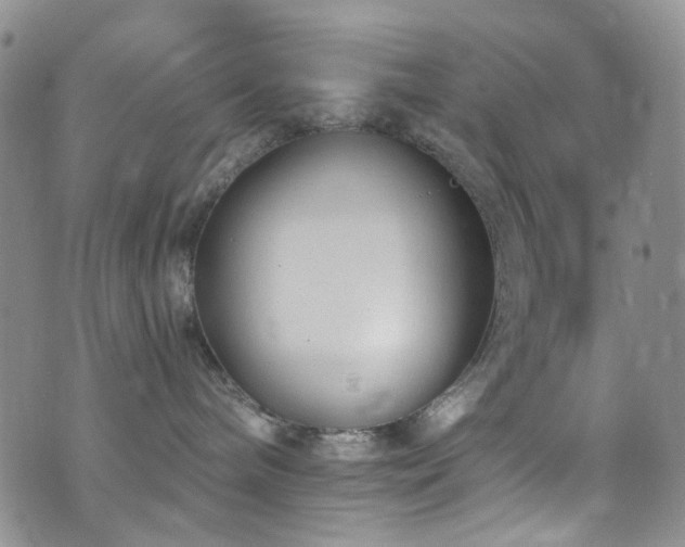 X0000073730240200608031337