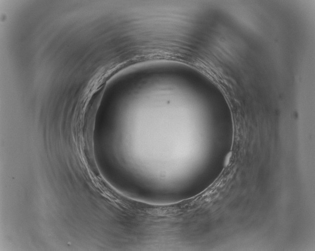 X0000073730241200608031336