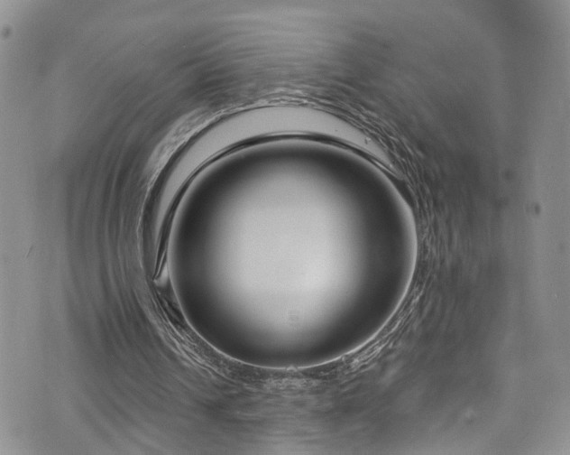 X0000073730242200608031336