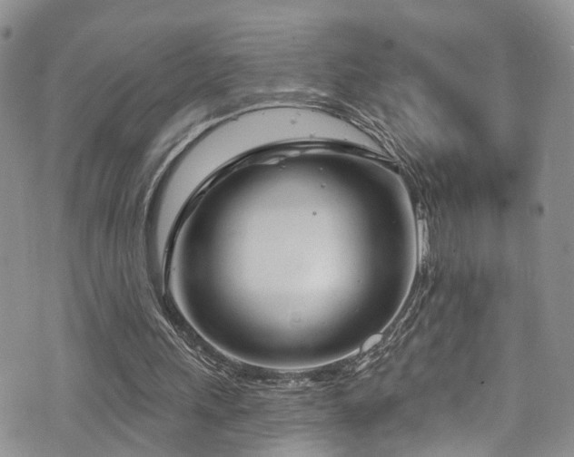 X0000073730243200608031336