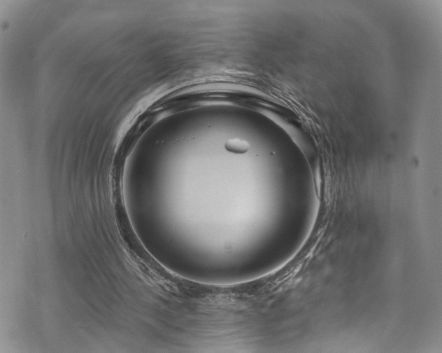 X0000073730244200608031336