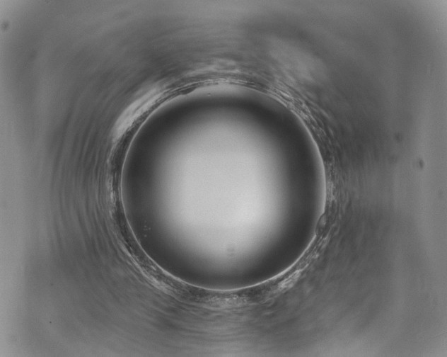 X0000073730245200608031337